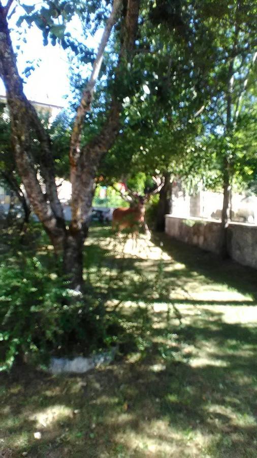 Appartamenti De Sanctis فيليتا باريّا المظهر الخارجي الصورة